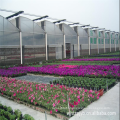 Good quality best-selling pe reinforced plastic greenhouse film